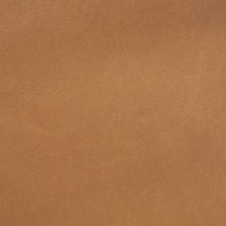 Ansa 54" Leather Bench - Charme Tan